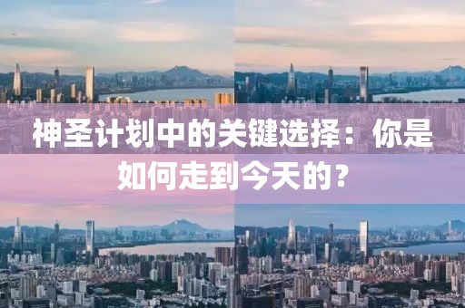 神圣计划中的关键选择:你是如何走到今天的?
